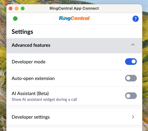 Developer mode setting