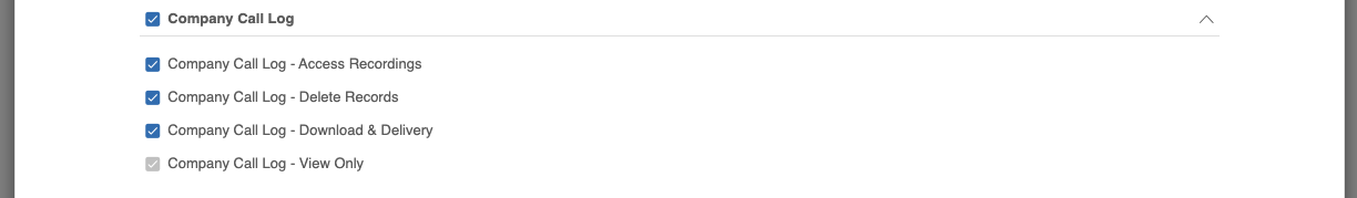 Company Call Log