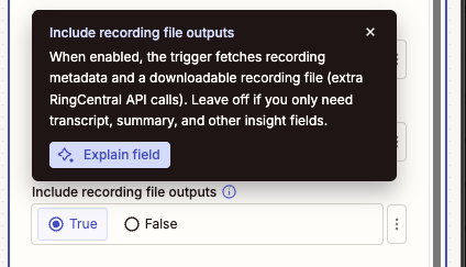 Include Recording File Outputs